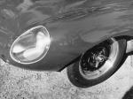 Jaguar D-Type 1955 года